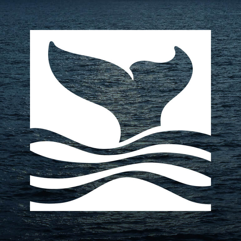 National Marine Sanctuary Foundation Identity